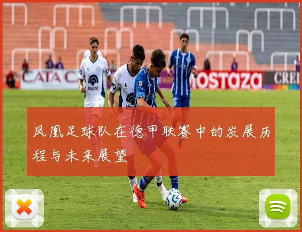 凤凰足球队在德甲联赛中的发展历程与未来展望